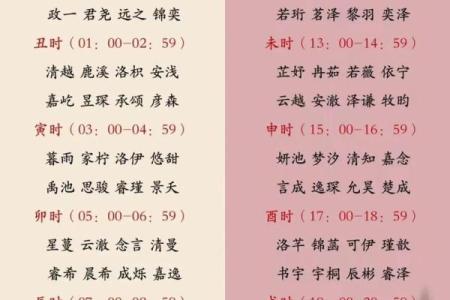 2019年3月22号巳时出生的男孩应该起什么样的名字姓名