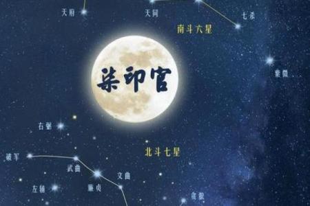 命带紫薇星是什么意思