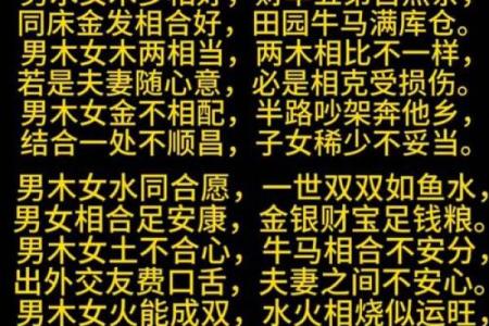 算命网合婚