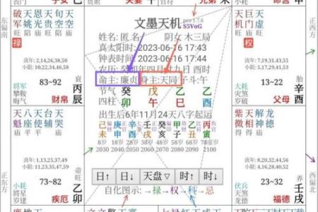 紫薇斗数身主天机