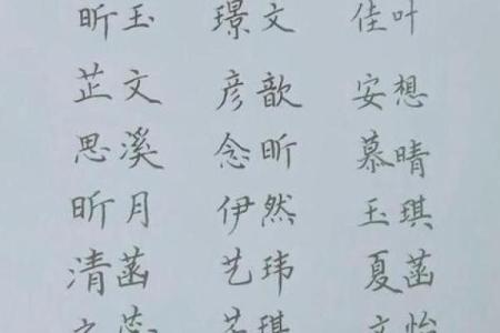下午2点出生的属鸡男孩要怎么起名，宜用什么字姓名