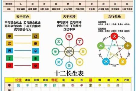 四柱八字全课程