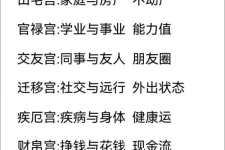 紫微斗数成大事的命格,官禄宫事业领导力强