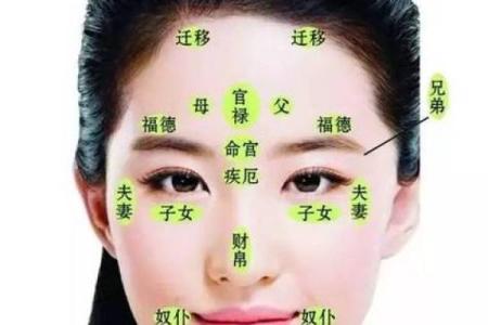 八字眉的女人面相命运事业发展如何