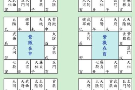 紫薇斗数命宫坐死地