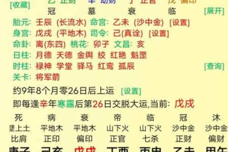舜缘居八字起名