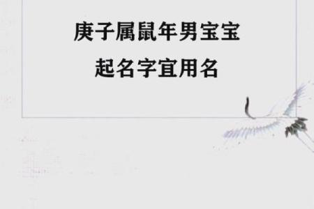 中午1点出生的属鼠男孩用什么字取名比较好姓名