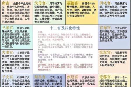 紫微斗数术语解释之：格局