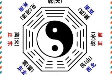 紫微斗数之八卦万物类象：巽卦详解