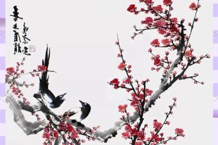 风水上家里可不可以养梅花