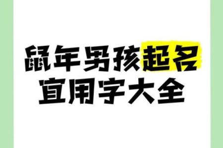 如何给下午3点出生的属鼠男孩起名字姓名