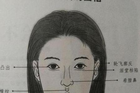 风水角度：柳叶眉女生的面相解释