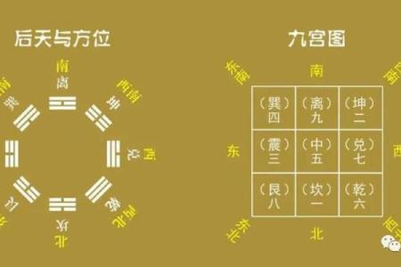 八字金重长痘,八字金旺的人