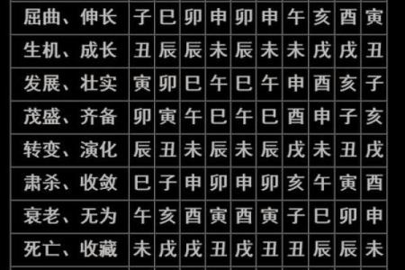 生辰八字算学业免费  学业极佳八字