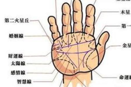 如何看掌纹线算命女性 智慧线长度适中进取心强