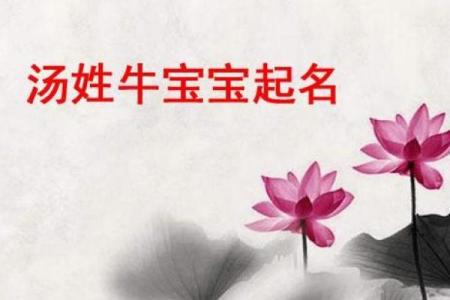 农历四月牛宝宝名字大全,温暖有朝气的男孩女孩名字姓名