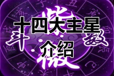 紫薇斗数元神