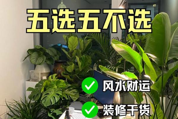 办公室风水绿植有哪些选择适合