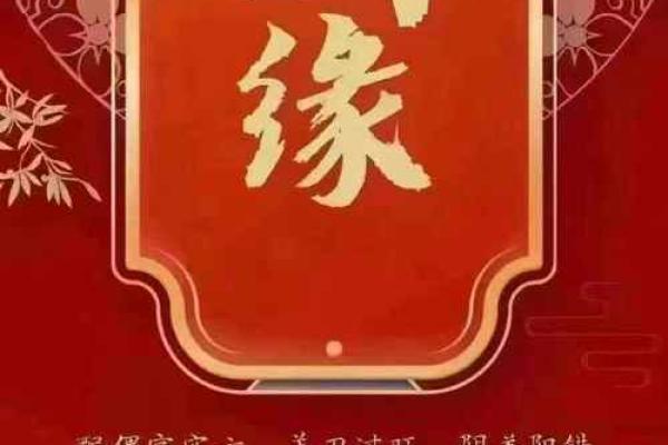 八字合婚精批是什么意思