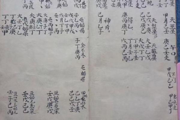 数斗算命