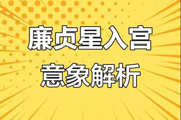 廉贞星坐守官禄宫紫微斗数大成