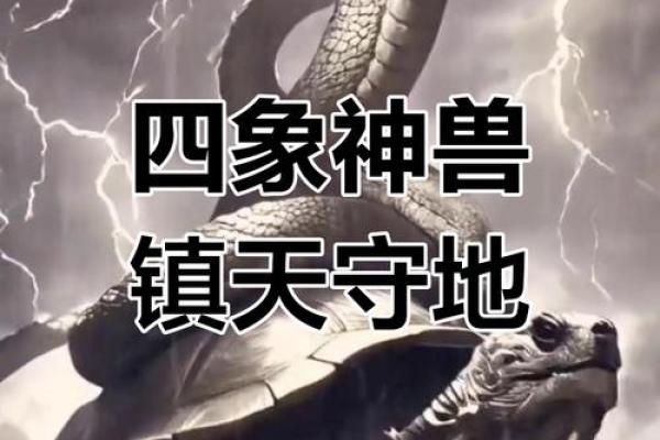 探讨青龙朱雀玄武三大风水神兽的意义和作用