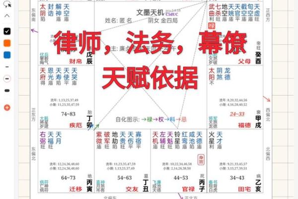 紫薇斗数廉贞星双星组合