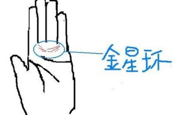 图解：手相金星环算命