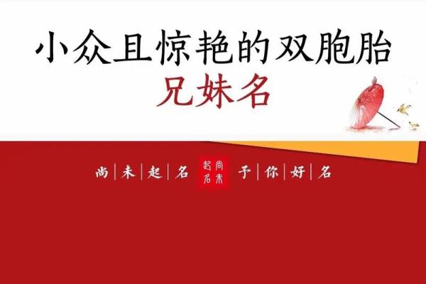 双胞胎男孩的名字和方法都有哪些-姓名学-华易网姓名