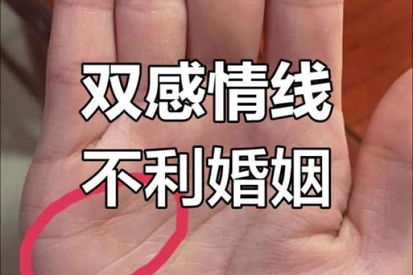 男人左手手纹算命图解婚姻线 感情线预示感情状况