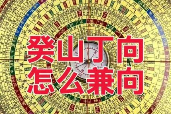 辛乙兼酉卯风水介绍 丁山兼未风水