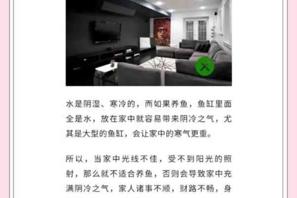 养鱼风水讲究需要注意哪些方面呢