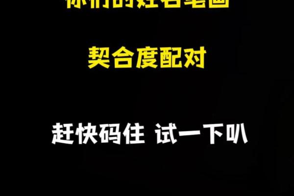 夫妻姓名配对测试L十L代表什么 夫妻姓名匹配度测试免费？