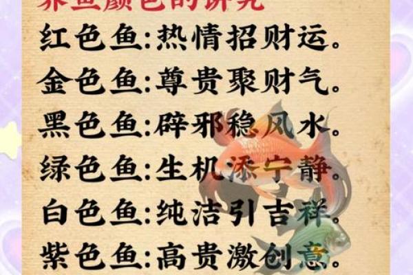 养鱼的喜忌：家庭养鱼风水讲究