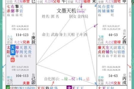 紫薇斗数婚姻测算