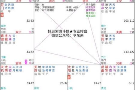 紫薇斗数如看今年流年