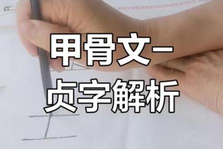 贞字取名吉凶测试图片及解析