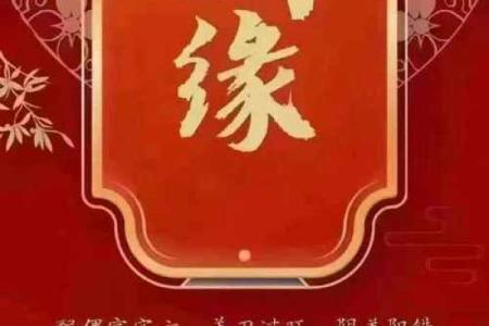 八字合婚精批是什么意思
