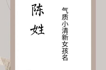 陈姓女孩名字大全-陈姓女孩起名字大全-陈姓名字大全姓名