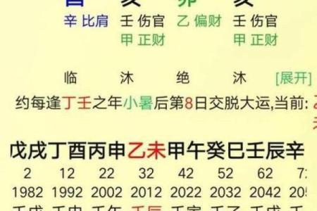 八字纯阴,八字纯阴为什么很有价值
