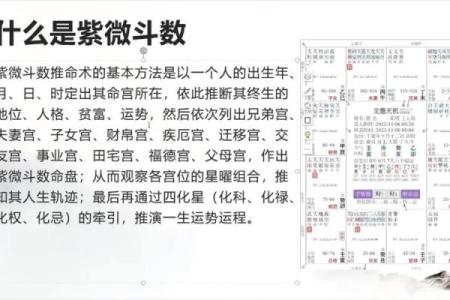 精通紫薇斗数