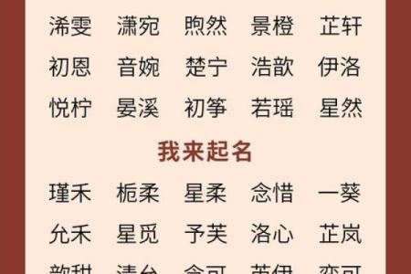 2019年4月28号丑时出生的男孩要怎么起名字姓名