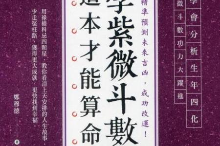 紫薇斗数是道教吗