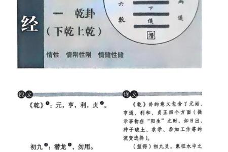 紫微斗数之八卦万物类象：乾卦详解