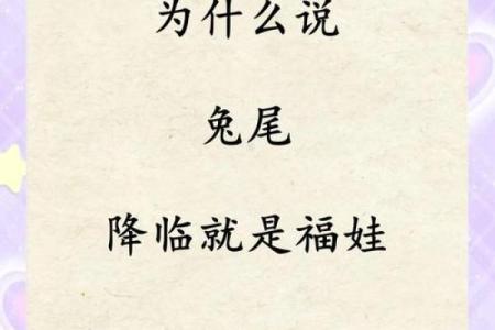 3月份出生的属兔女孩宜取什么名姓名
