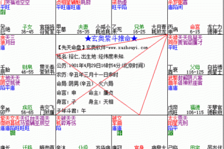 紫薇斗数算要付费