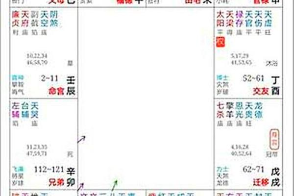 她只能作一名记者吗？紫微斗数实例解读