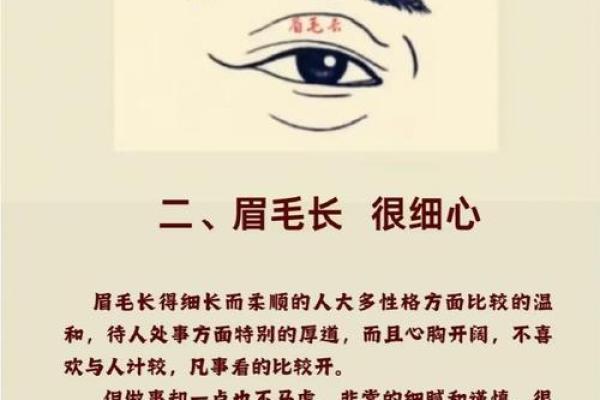 面相与八字：如何通过面相了解八字命运
