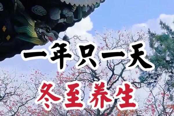冬至节气风水，需注意健康养生