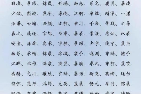 2019年3月23号酉时出生的男孩如何起名姓名